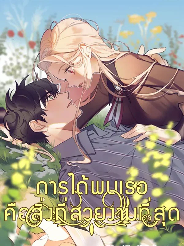 การได้พบเธอคือสิ่งที่สวยงามที่สุด - นิยายแนะนำ