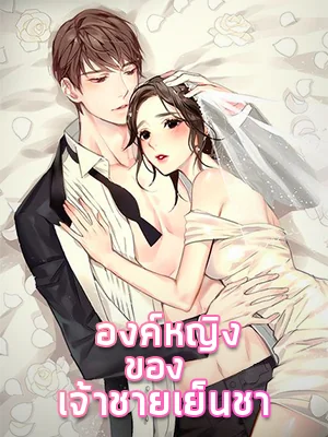 novels cover